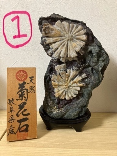 菊花石