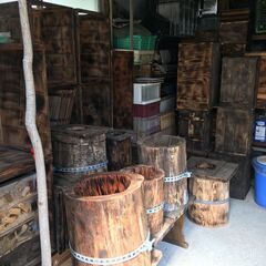 日本ミツバチ 自然入居群 滋賀県大津市より 手渡し限定