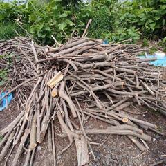 ニセアカシア？原木詰め合わせ トン前後はあるかな？
