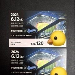 6/12日本ハムファイターズ