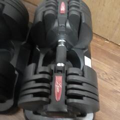 ライシン 可変式ダンベル 20㎏×2