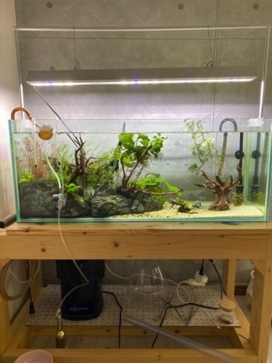 90センチ水槽セット