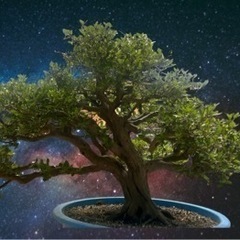 皐月盆栽 貴公子