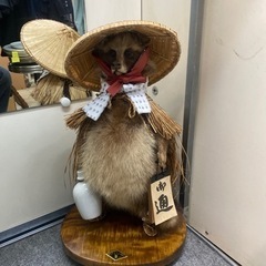 鳥サシバタカ剥製はく製宇都宮引き取り