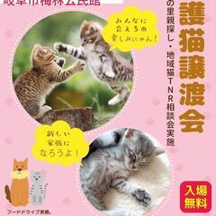 6月2日 保護猫譲渡会開催