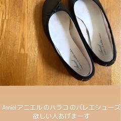 アニエル ハラコ のバレエシューズバッグ 靴 パンプス