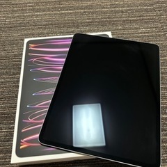 iPad pro 12.9 第6世代   256GB