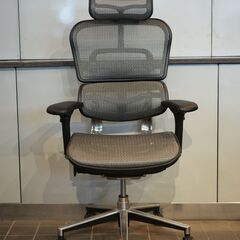 オフィスチェア】エルゴヒューマン・ベーシック (ヘッドレスト付き 