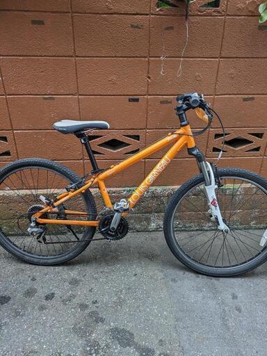 ルイガノ　マウンテンバイク　自転車