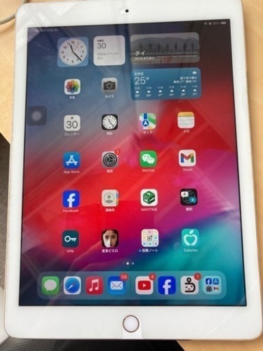 iPad iPadpro 256GB