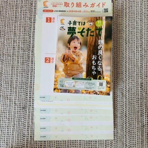 古染付 鑑賞編・資料編2冊 初版 河原正彦 磁器 茶道具（古染付
