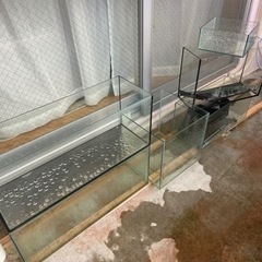 オールガラス水槽　6個セット