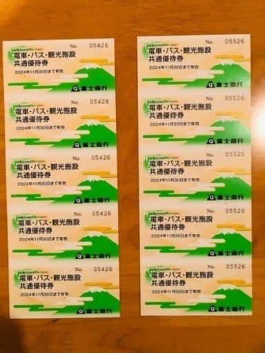 富士急株主優待券(富士急ハイランド2名分)