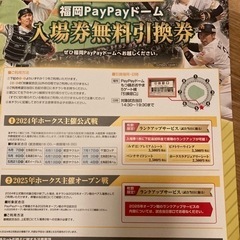 paypayドーム　（2名まで入場ok）入場券無料引換券