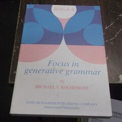 Focus in generrative grammar