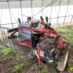 ヤンマー　ビーンハーベスタ　YBR450