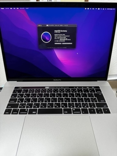 MacBook Pro Radeon intel グラフィック有り　充電回数30回程　touch bar