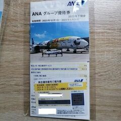 【ネット決済・配送可】ANA グループ優待券 ～2024年11月30日