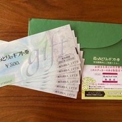 花とみどりのギフト券 3,000円(500円券6枚)