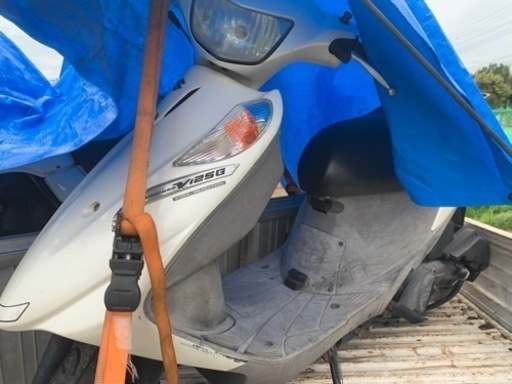 アドレスv125 cf46a　実動車