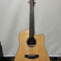Donner アコースティックギター　DAG-1C