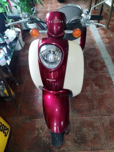 ✡週末SALE✡HONDA AF55 クレアスクーピーspecial