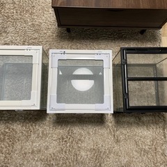 グラステラリウム 3030 1個 ジオスペース 30  2個