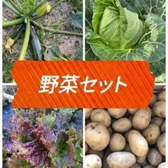 【6/2限定】野菜セット400円