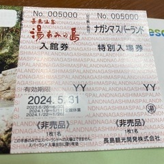 湯あみの島入浴券　チケット テーマパーク/遊園地