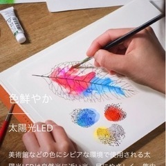 バルミューダ　ライト