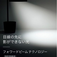 バルミューダ　ライト