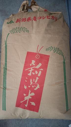 令和５年産コシヒカリ