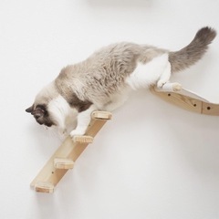 猫 ハンモック★壁掛け クライミング 遊び 階段 4段 くつろぎ...