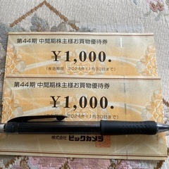 ビックカメラ株主優待券  2000円分