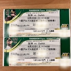 6/22（土）阪神タイガース　ペアチケット