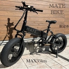 MATE BIKE 250 日本未販売　MAX35km