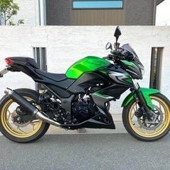 【ネット決済】☆配送可能☆ Z250 Special Editi...