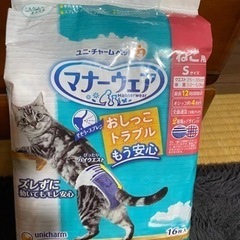 猫用紙オムツ