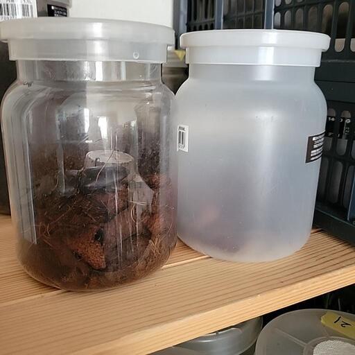 楓 　VBソリューション　業務用　トナー　エマルジョン MACCHIA LABEL（マキアレイベル） リキッドファンデ シワ改善 美白