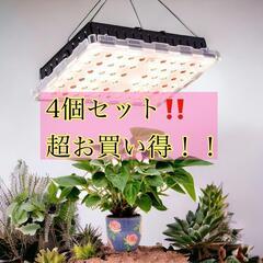 【ネット決済】LED植物育成ライト　植物ライト 観葉植物 多肉植...