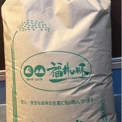 令和5年度産　 玄米30kg 福井県産　コシヒカリ　