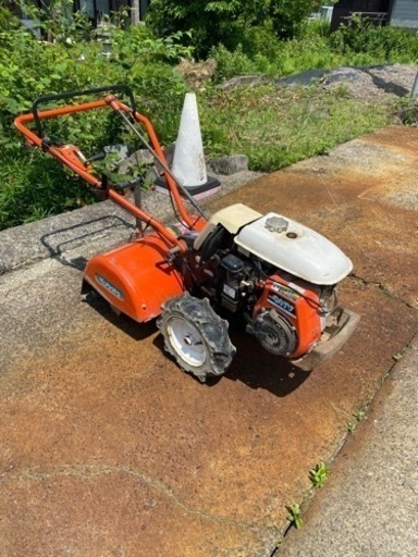 値下げ　マメトラ　中古　訳あり