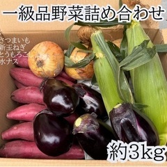 お取り寄せグルメ 一級品 野菜詰め合わせ 3kg 長崎県産ゴール...