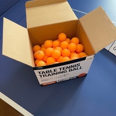 国際規格　卓球台&ピンポンマシン(おまけ付)