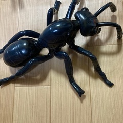 大きい蟻