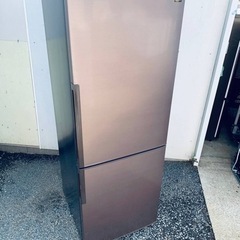 ギャラクシー#ビーシュリンプ#エビ - その他 