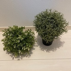 IKEA 造花(フェイクグリーン)　2つ