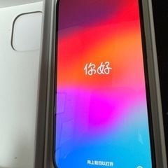 【ネット決済・配送可】【✨超美品】iPhone15 pro  1...