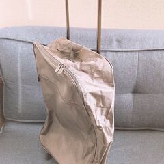 折りたたみ式　買い物用キャリーバッグ