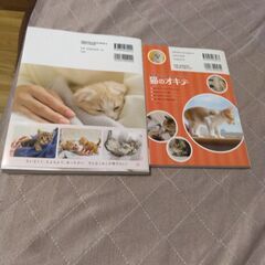 猫の本  2冊